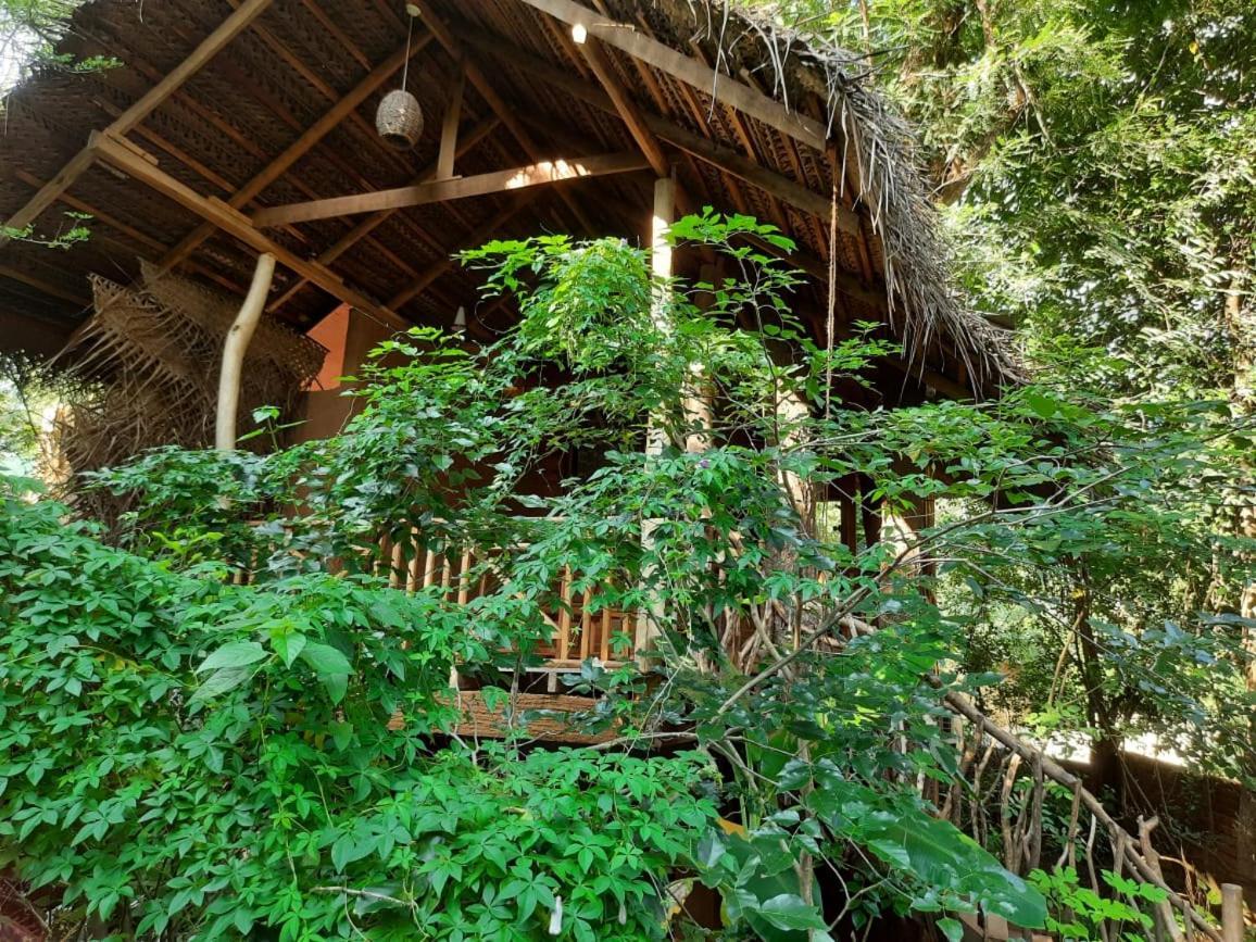 Habarana Tree House Mutu Village Exterior foto
